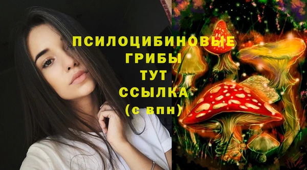 каннабис Горнозаводск