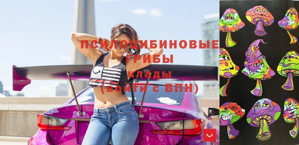 spice Горняк
