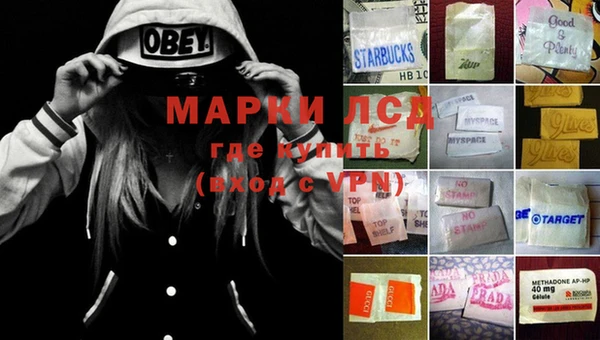 spice Горняк